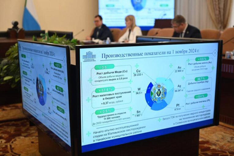 Задачи по решению проблемных вопросов горнодобывающей промышленности Дмитрий Демешин поставил профильным ведомствам