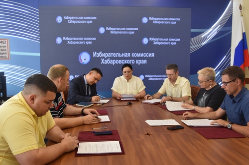 У хабаровских кандидатов в депутаты нашли недостатки