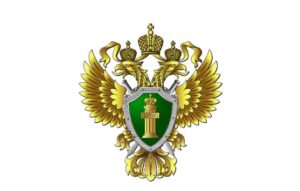 загрязнение