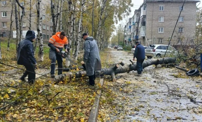Хабаровский край борется с последствиями тайфуна «Джеби»