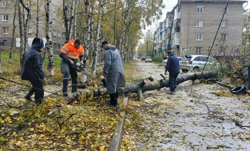 Хабаровский край борется с последствиями тайфуна «Джеби»