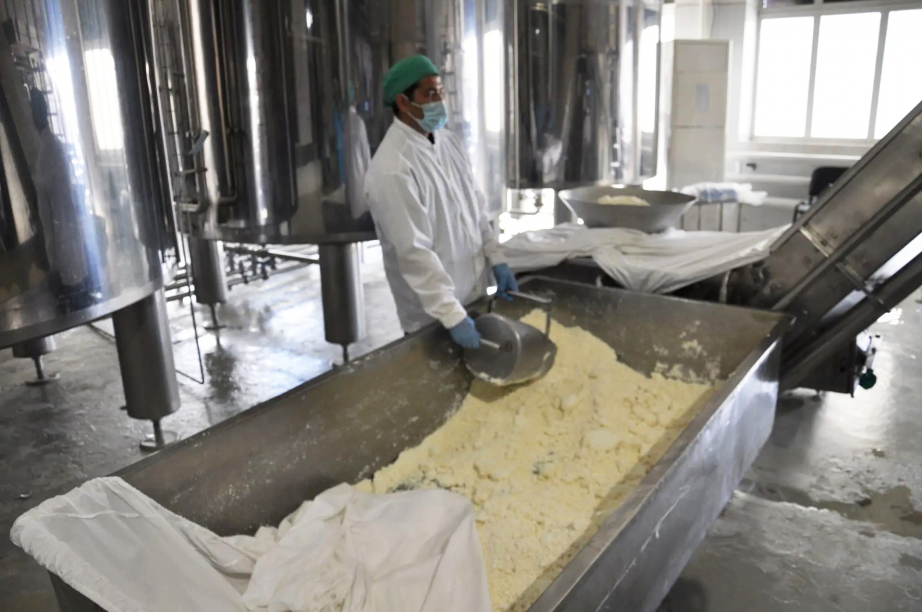 В Хабаровском крае стали производить безлактозные молочные продукты